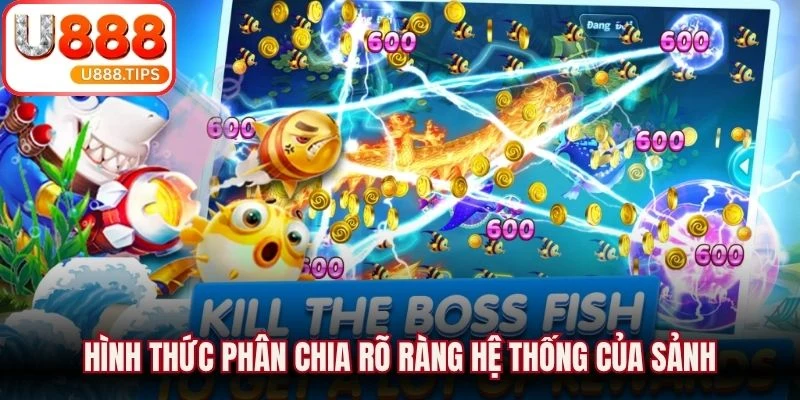 Hình thức phân chia rõ ràng hệ thống của sảnh