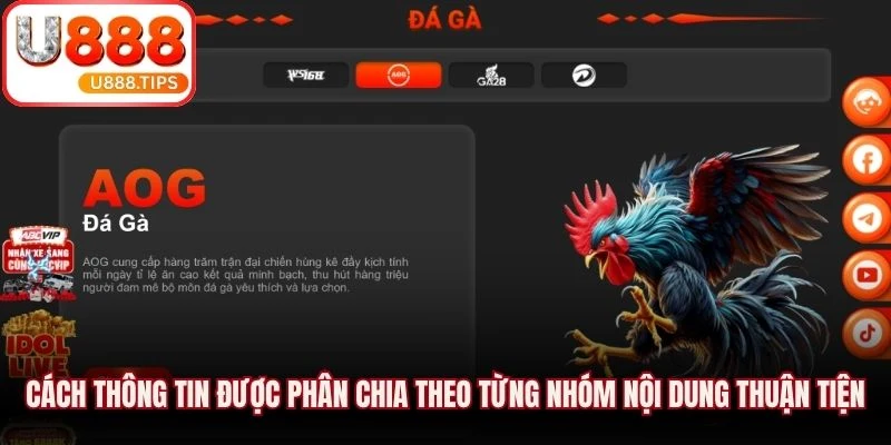 Cách thông tin được phân chia theo từng nhóm nội dung thuận tiện