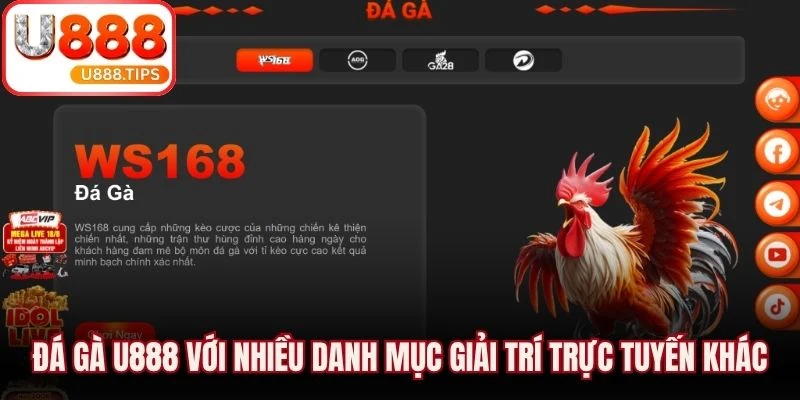Đá gà U888 với nhiều danh mục giải trí trực tuyến khác