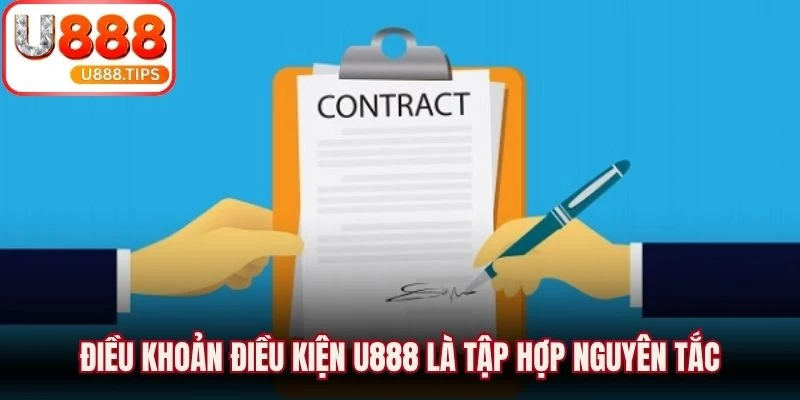Điều khoản điều kiện U888 là tập hợp nguyên tắc giữa nền tảng và người sử dụng