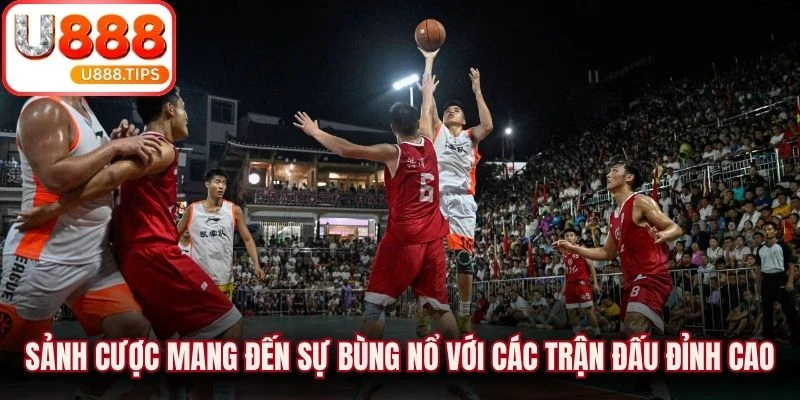 Sảnh cược mang đến sự bùng nổ với các trận đấu đỉnh cao