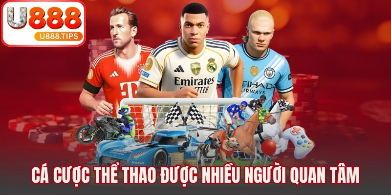 Cá cược thể thao nằm trong nhóm sản phẩm được nhiều người quan tâm